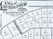 Hayward Recreation 1